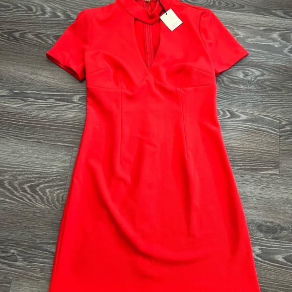 Tirna Turk dress size 4 - Picture 9 of 9